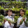「Tokyo Wasabi」在多摩地區舉行山葵採收體驗「WASABI EXPERIENCE」，參加者最後可將山葵帶回家。（©️ TOKYO WASABI）