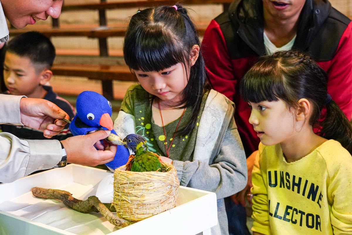 「小小親子飛鳥探索保育營」透過與飛鳥親密互動，培養孩童愛護生態之心。