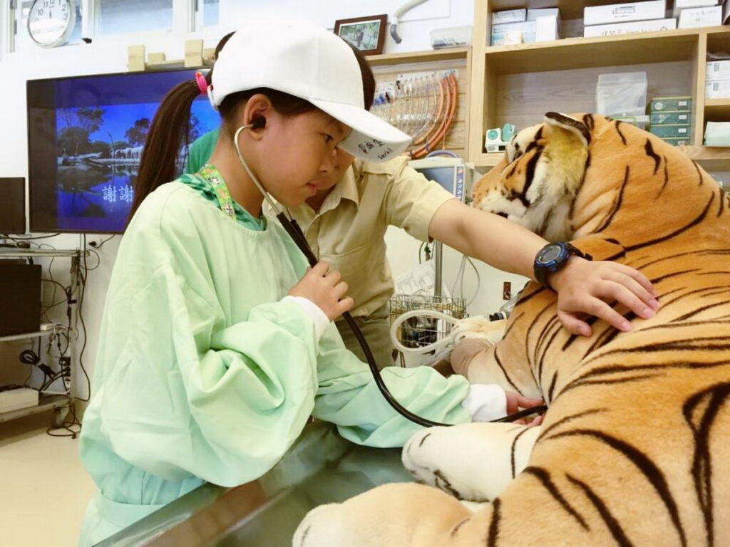 『小小獸醫實習營』模擬為野生動物救傷的課程。
