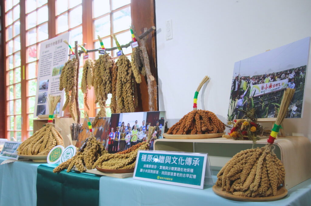 小米的種原保存與復種，攸關台灣飲食文化與氣候變遷下的農業發展。此次任務將把台灣小米送入北極全球種子庫，進行「異地安全備份」永續保存。