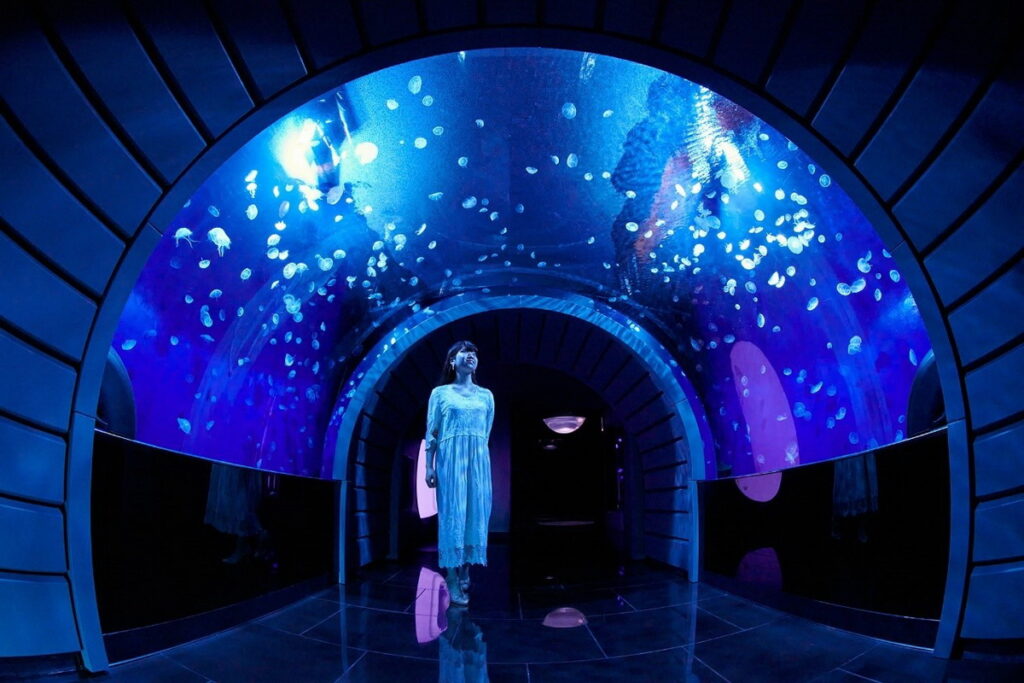 2020新開放的「水母空間」，已然成為陽光水族館的亮點之一。（照片來源：©陽光水族館）